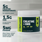 CREATINE+HMB